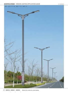 城市l(wèi)ed路燈市政道路照明燈