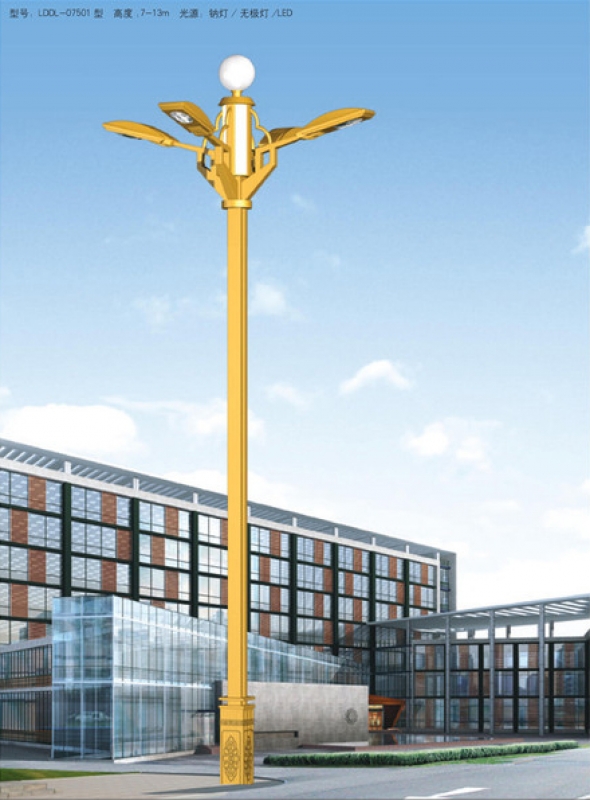 玉蘭燈城市l(wèi)ed路燈市政道路照明燈
